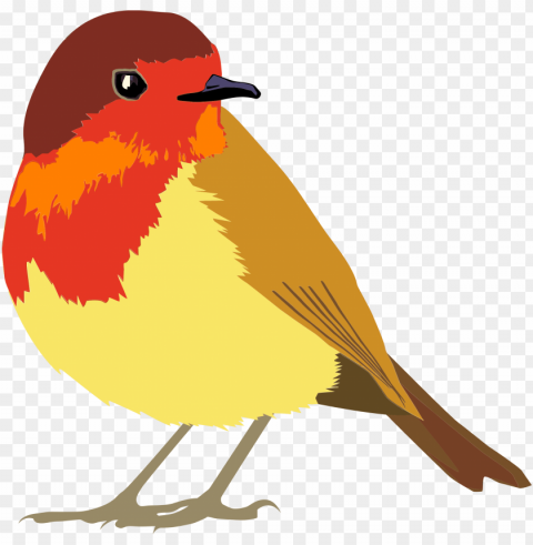 favn bird PNG transparent pictures for projects