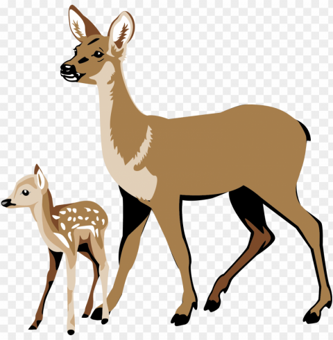 fawn pencil and in color - white tailed deer clipart Transparent PNG images extensive gallery