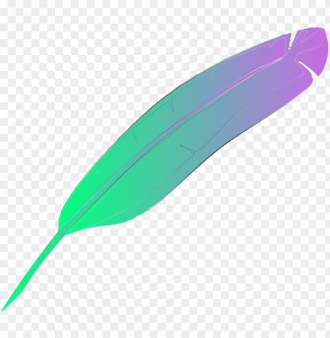 feather clipart purple - transparent feather clipart Free PNG images with alpha channel variety