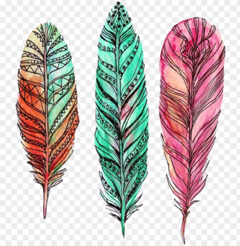 feather drawings with water coloring ideas inspiration - feather PNG artwork with transparency