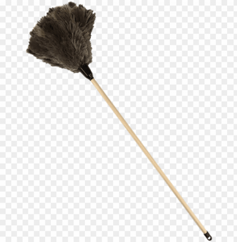 feather duster PNG Image with Clear Background Isolated PNG transparent with Clear Background ID f2f5bcd9