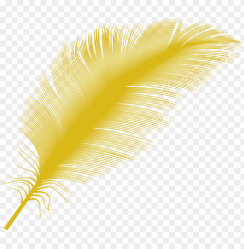 feather falling - transparent yellow feather PNG images with high-quality resolution