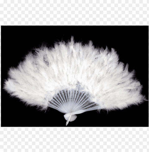 feather fan white approx - feather fan ClearCut Background PNG Isolated Subject