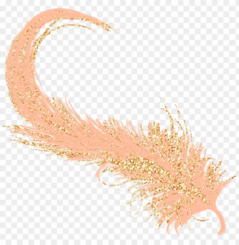 feather golden gold rosegold - feather Alpha channel PNGs