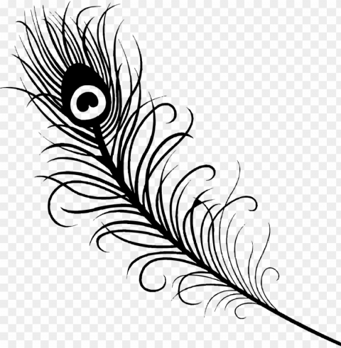 feather ing az - peacock feather vector black and white ClearCut Background Isolated PNG Graphic Element