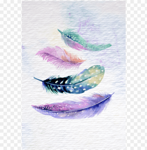 feather set - girly designs in notebook Transparent Background PNG Isolated Pattern