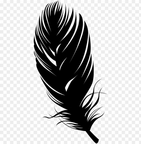 feather silhouette feather PNG for presentations