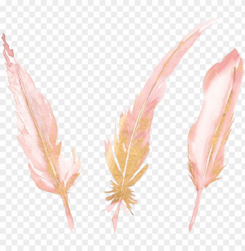 feather watercolor pink gold watercolorfeather sticker - watercolor painti PNG design