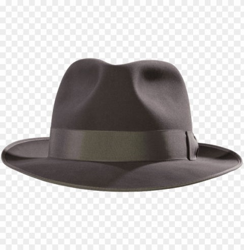 fedora Transparent Background PNG Isolated Pattern