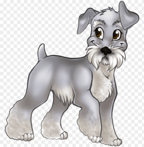 femaleprev1 - standard schnauzer PNG images transparent pack PNG transparent with Clear Background ID 6aff71f2