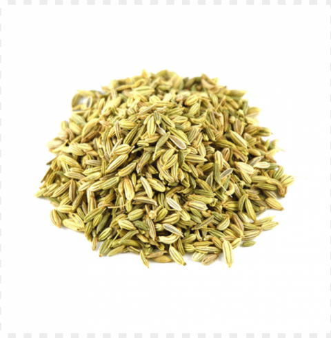 fennel Isolated Character on Transparent Background PNG