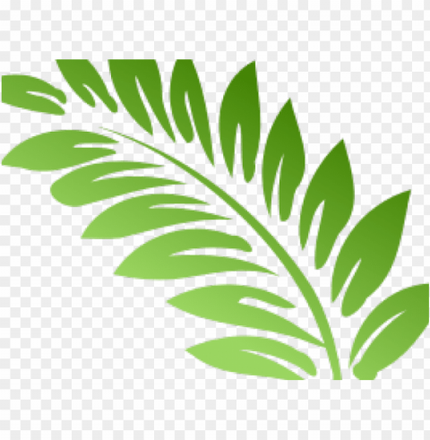fern clipart transparent - hibiscus clip art Isolated Character in Clear Background PNG