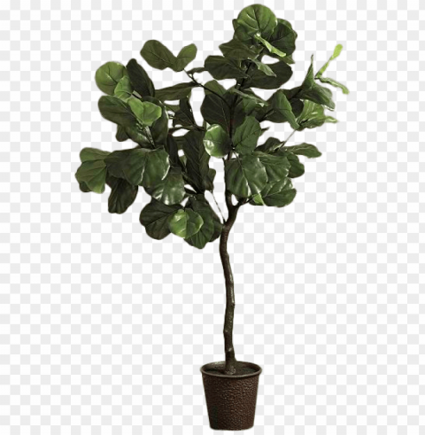 fiddle leaf - ballard designs bunny williams faux fiddle leaf fi PNG with isolated background