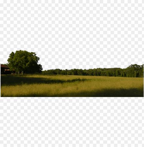 field and trees background stock 0038 copy 5 by - klseptb PNG images with no limitations