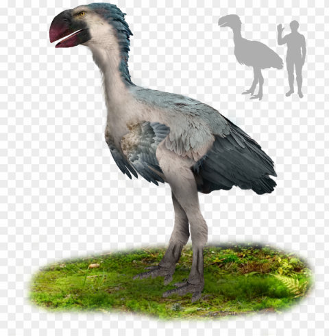 file - gastornis - gastornis bird PNG Image with Transparent Isolated Design PNG transparent with Clear Background ID 95ceb803