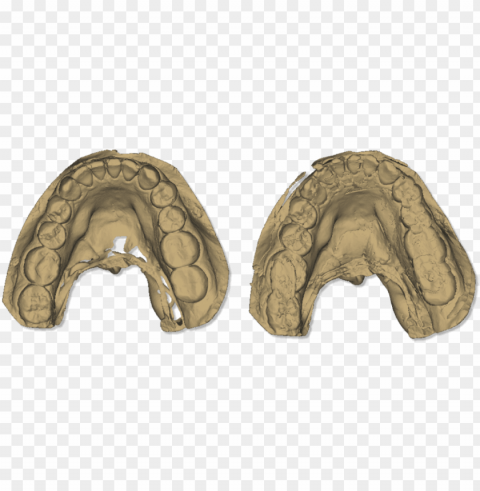 file - maestro - 3d - easy - dental - scan - calibration - scanner 3d dentale PNG images with alpha transparency selection