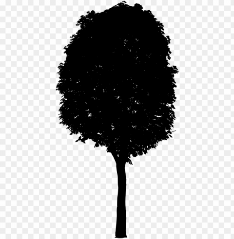file size - tree PNG images with transparent overlay