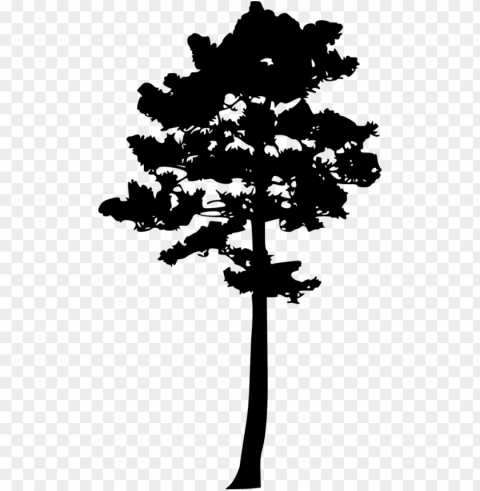 file size - tree silhouette clip art pine High-resolution PNG images with transparency