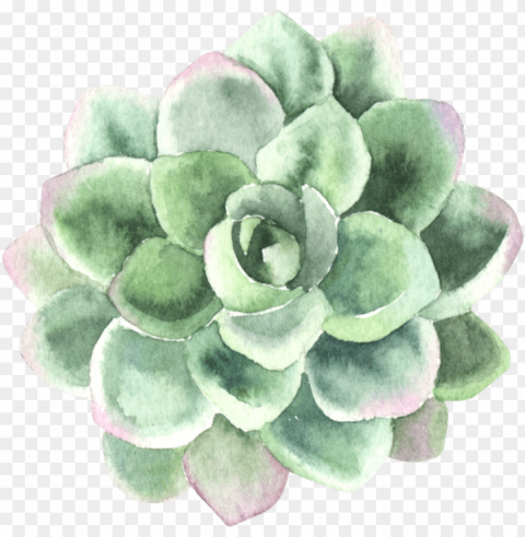 find support in your process of personal transformation - thank you card with succulents PNG transparent graphics for download