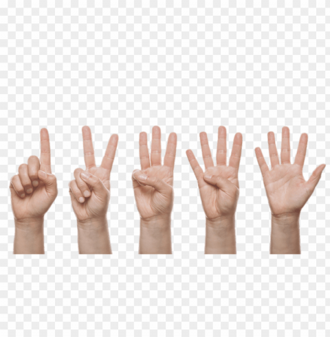 finger counting PNG images without restrictions