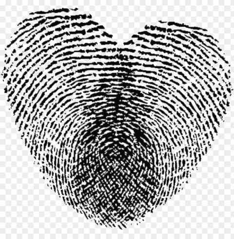 fingerprint love heart Isolated Graphic on HighResolution Transparent PNG
