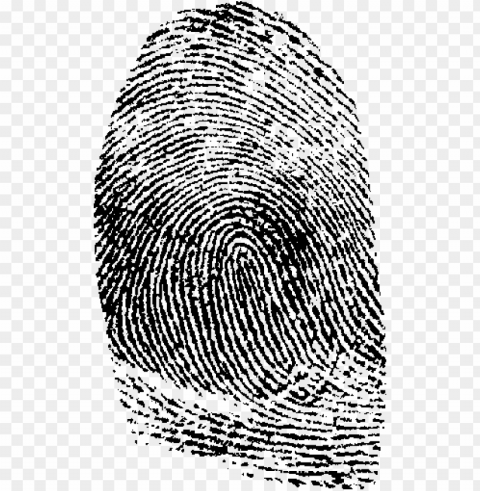 fingerprint PNG images with alpha transparency wide collection PNG transparent with Clear Background ID 3ed05af0