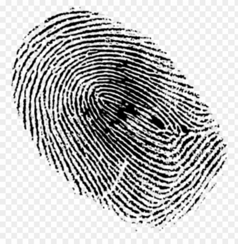 fingerprint PNG images with clear alpha layer PNG transparent with Clear Background ID 9ef657d1