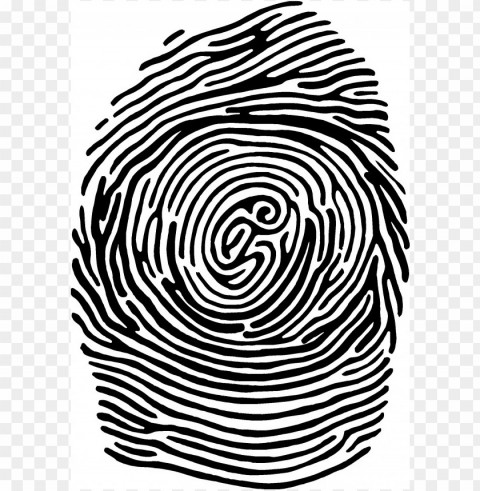 fingerprint Isolated Item on Clear Background PNG