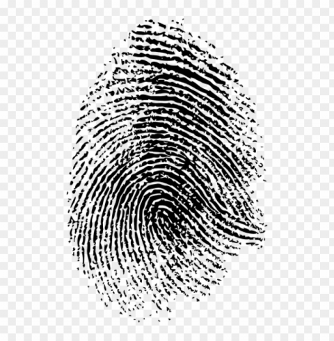 fingerprint Isolated Item on Clear Transparent PNG PNG transparent with Clear Background ID c160e20c