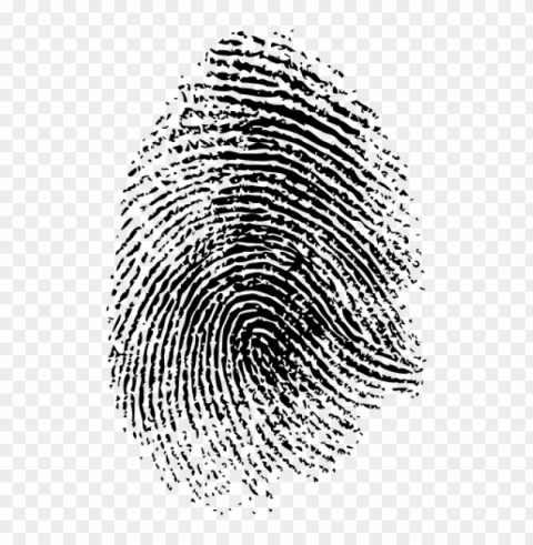 Fingerprint Isolated Item On Clear Transparent PNG