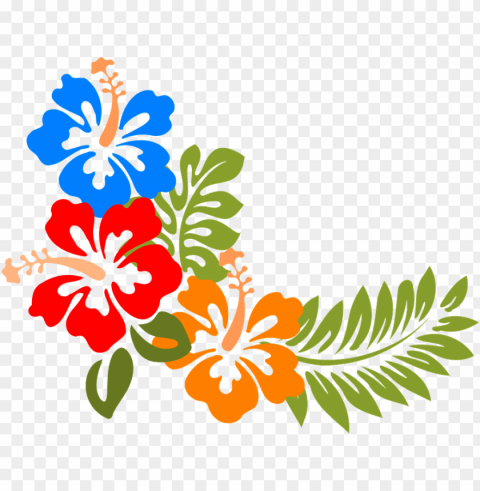 fiori colorati PNG images with clear background