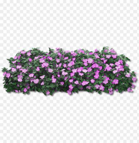 fiori viola - pink flower bush PNG pictures with no backdrop needed