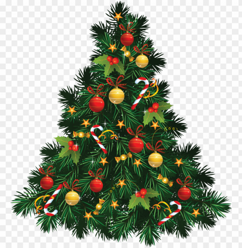 fir tree christmas Transparent PNG Isolated Design Element