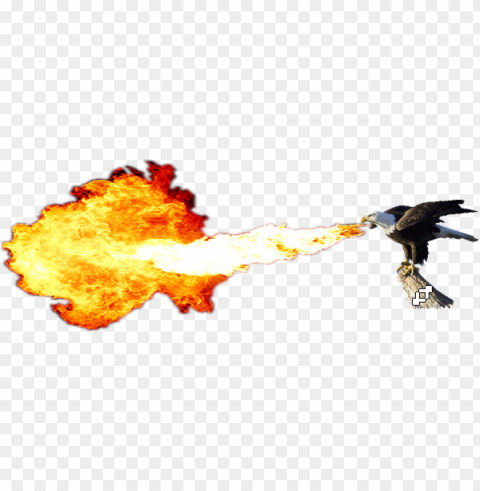 fire breathing dragon download - fire breathing bald eagle Isolated Element with Clear Background PNG