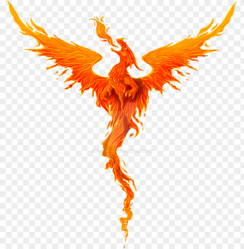 fire dragon PNG images with alpha transparency wide collection