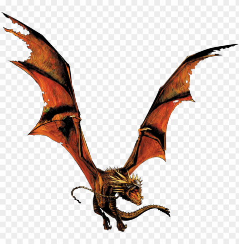 Fire Dragon PNG Images With High Transparency