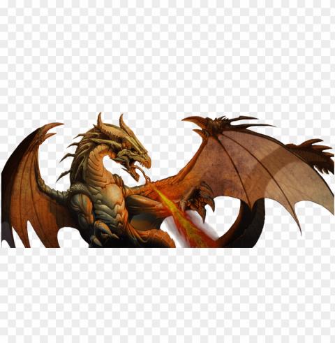 Fire Dragon PNG Images With No Watermark