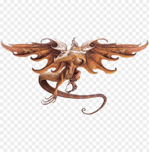 fire dragon PNG images with transparent elements PNG transparent with Clear Background ID 020a2973