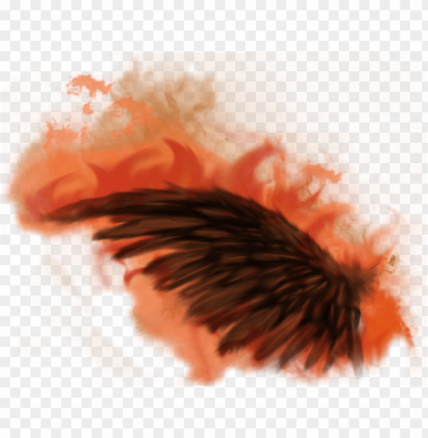 fire wing - fire wings PNG clipart with transparent background