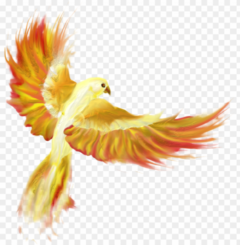 Firebird - Cat Isolated Character With Clear Background PNG