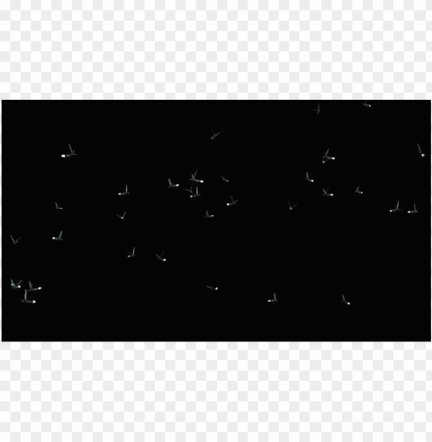 fireflies HighQuality PNG Isolated on Transparent Background PNG transparent with Clear Background ID 62d893d0