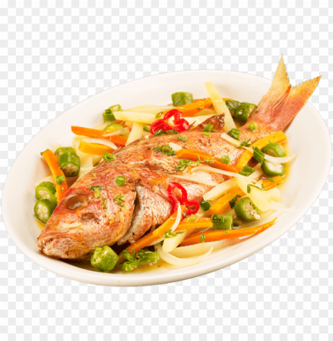 fish meat Isolated PNG Image with Transparent Background