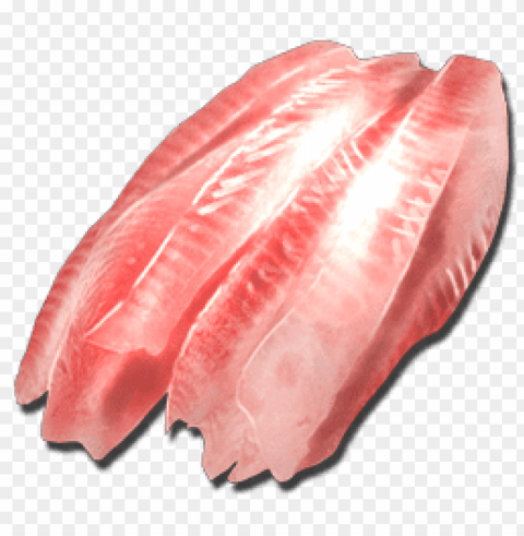 fish meat Isolated Subject in HighQuality Transparent PNG