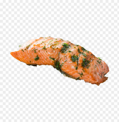 fish meat Isolated Subject on Clear Background PNG