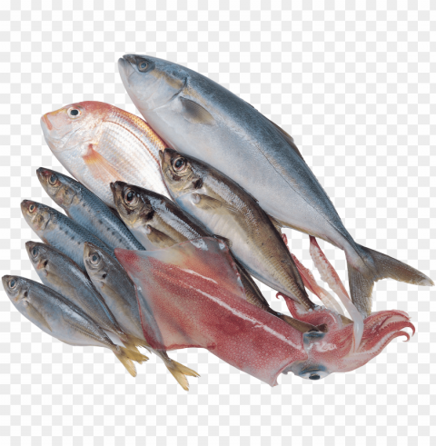 fish meat PNG images without licensing