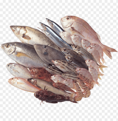 fish meat PNG isolated PNG transparent with Clear Background ID e723f983
