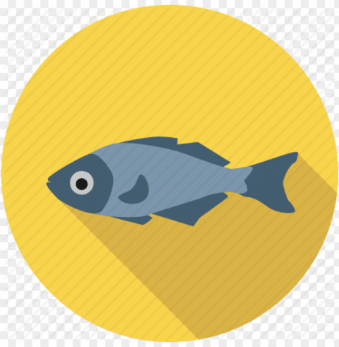 fish meat PNG Isolated Illustration with Clear Background