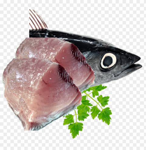 Fish Meat Isolated Element With Transparent PNG Background