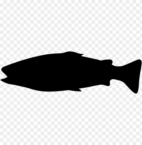 fish silhouette - small black fish silhouette Isolated Graphic with Transparent Background PNG