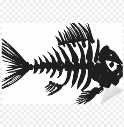 fish skeleton designs Isolated Object with Transparency in PNG